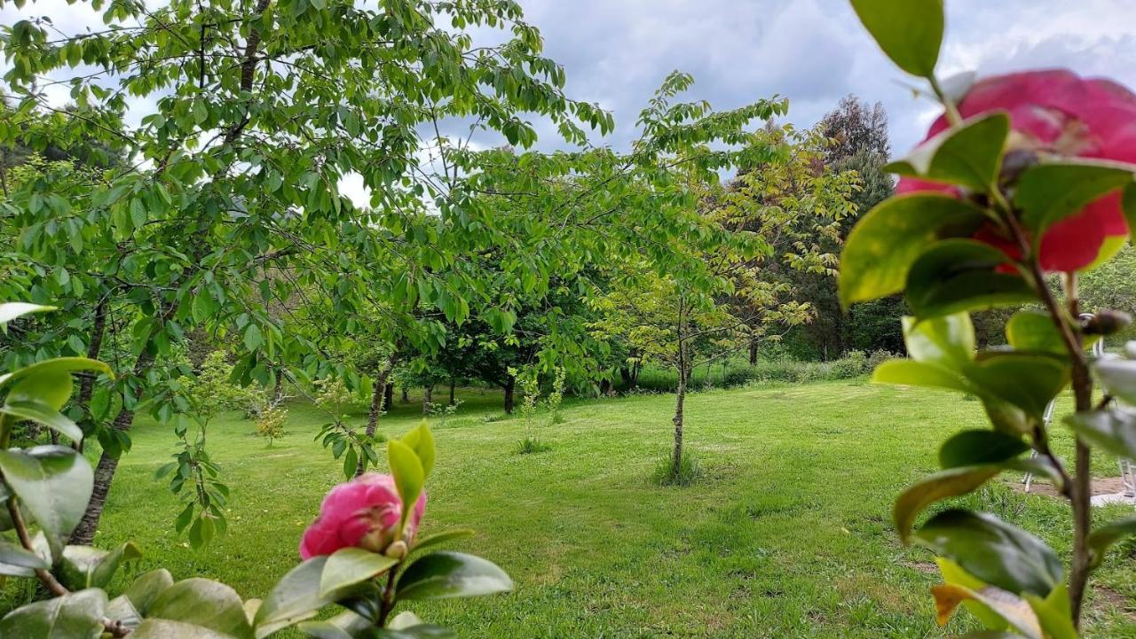 A Casa Dos Avos - Vilarino - A Coruna Εξωτερικό φωτογραφία